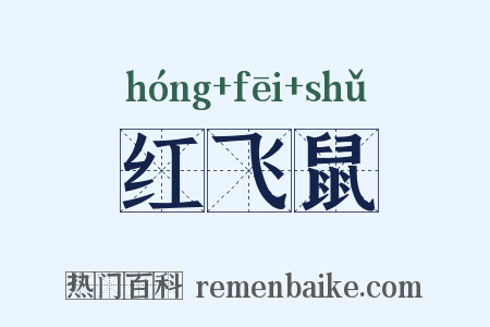 红飞鼠是什么意思的图片